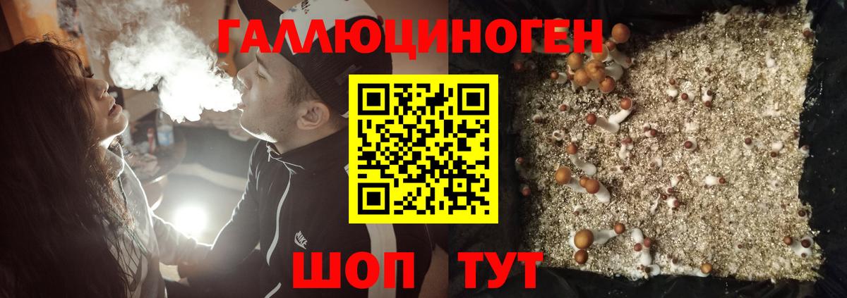 Галлюциногенные грибы прущие грибы Мегион