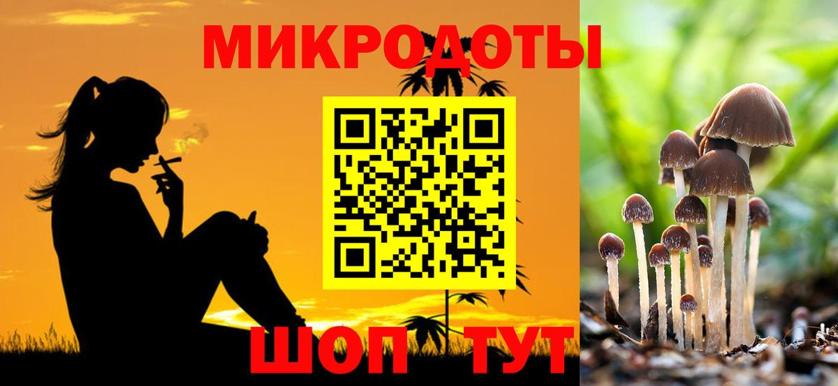 Мегион  Псилоцибиновые грибы мицелий  Вход с VPN  Псилоцибиновые грибы GOLDEN TEACHER 